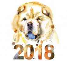 Нова година подготовка, или как да се отговори на 2018-та година на жълто куче по всички правила