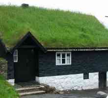 Къща със зелен покрив