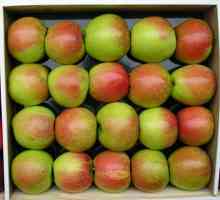 Съхранение на ябълки