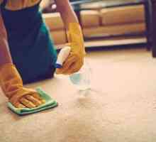 Как мога да почистя килима у дома?