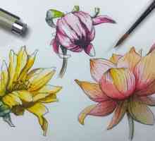 Как да нарисувате цветя