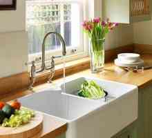 Как да определите причината и ефективно да премахнете миризмата от кухненската мивка