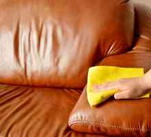 Как да измиете дивана от следите от урина и да премахнете неприятната миризма