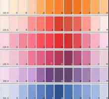 Как да изберем цвят за фасадна акрилна боя