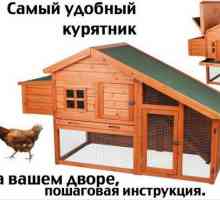 Как да се изгради една кокошка за 10 кокошки със собствените си ръце в условията на страната