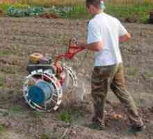 Как правилно да се подготви земята за засаждане на картофи