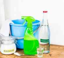 Как да се чисти отпадъци в мивката в кухнята с сода и оцет