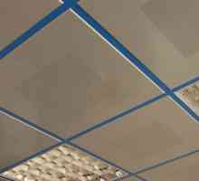 Как да монтирате окачен таван от панелите със собствените си ръце