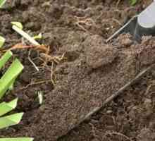 Как да подобрим структурата на почвата?