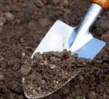 Как да подготвим почвата в градината през пролетта