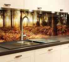 Как да изберем и инсталираме стъклен панел за изключителен дизайн на кухнята