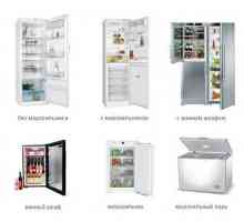 Кой хладилник е най-добре да се купи за дома избор критерии и марка рейтинги