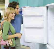 Критерии за избор на хладилник за къща и за даване