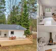 Малка бяла къща в горите на Швеция