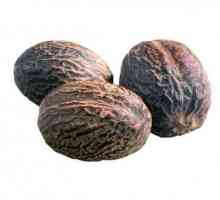 Nutmeg хранителни свойства и противопоказания