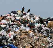 Не пренебрегвайте темата за боклука в Лвов