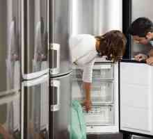 Характеристики на работата и избор на безшумен хладилник