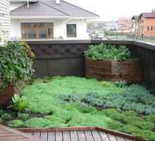 Озеленяване на покриви и покриви