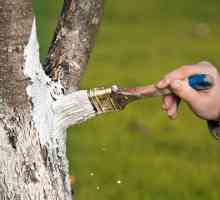 Измиване на дървета