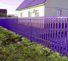 Живопис метална ограда