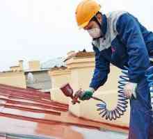 Боядисване на метални покриви