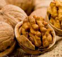 Полезните и вредни свойства на противопоказанията на ореха за консумация