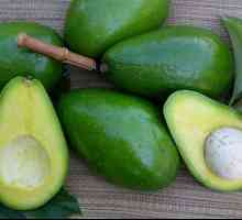 Полезни свойства на авокадо