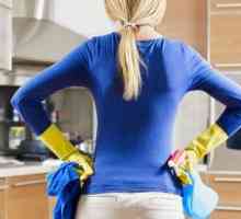Последователността на общото почистване в кухнята