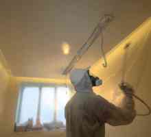 Правилата за избора на какво да боядисваме тавана от гипсокартон