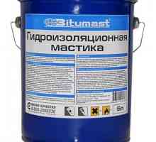 Предимства и методи за използване на хидроизолационни мастик битум