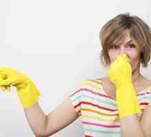 Причините за миризмата на канализация в частна къща и отстраняването им
