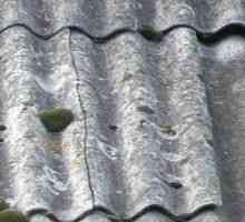 Ремонт на покрив от шисти
