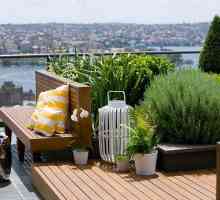 Градината на покрива е екологична, удобна, красива и най-важното е лесно!