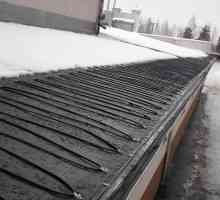 Система против замръзване и отопление на покрива