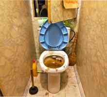Премахване на запушвания в тоалетната купа традиционни методи и народни методи