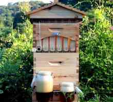 Бъдете себе си как да направите качествена къща за пчелите без грешки