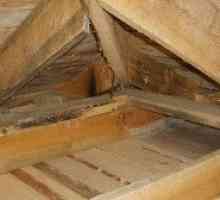 Затопляне на тавана на частна къща с минерална собственост и характеристики