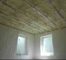 Затоплянето на тавана в частни домашни мини-важни точки