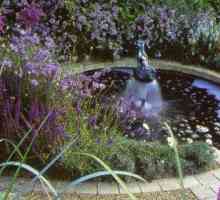 Видове фонтани за градината