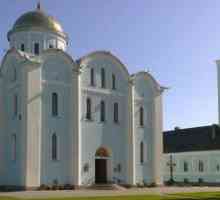 Катедрала "Владимир-Волин" на Успение Богородично, реликва от XIX век или реплика на…