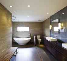 Вградени осветителни тела за банята, водоустойчиви типове, функции, съвети за монтаж