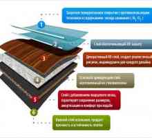 Избор и монтаж на PVC подови плочки