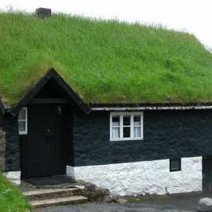 Къща със зелен покрив