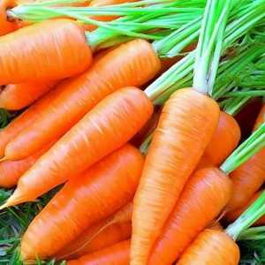 Как да съхраняваме морковите в мазето през зимата