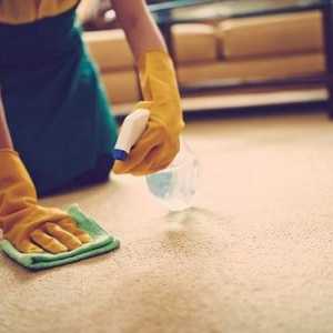 Как мога да почистя килима у дома?
