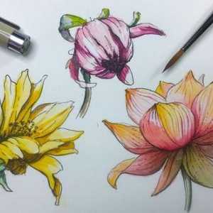 Как да нарисувате цветя