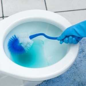 Как да се измие и почисти тоалетна от варовик депозит