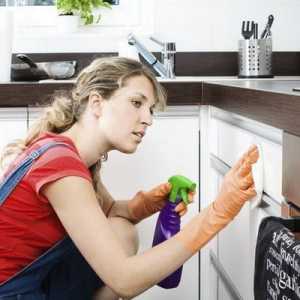 Как да измиете шкафовете в кухнята от мръсотия и мазнини с народни средства и домакински химикали