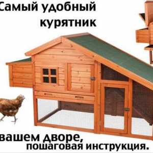 Как да се изгради една кокошка за 10 кокошки със собствените си ръце в условията на страната
