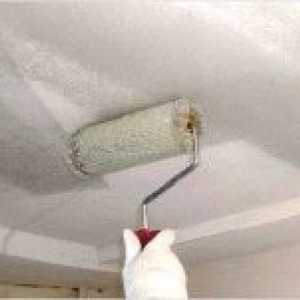 Как правилно да боядисвате гипсокартон тавани